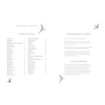 Colorful World of Dinosaurs