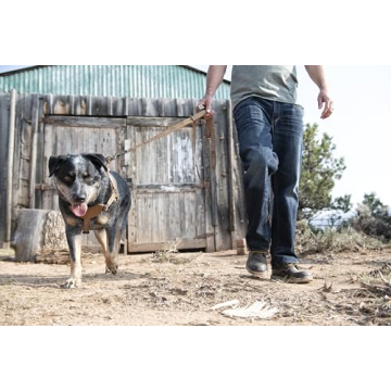 Carhartt Nylon Duck Training Dog Harness, Carhartt Brown, Large