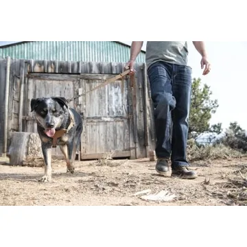 Carhartt Nylon Duck Training Dog Harness, Carhartt Brown, Large
