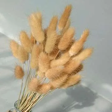 30PCS Dried Flowers,Natural Dried Grass, Rabbit Tail Grass, Bunny Tail Natural Plants, Pastoral Simulation Flower Bouquet Artificial Flower Grass DIY Craft for Wedding Party