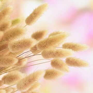 30PCS Dried Flowers,Natural Dried Grass, Rabbit Tail Grass, Bunny Tail Natural Plants, Pastoral Simulation Flower Bouquet Artificial Flower Grass DIY Craft for Wedding Party