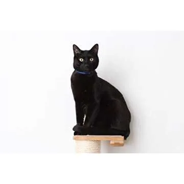 CatastrophiCreations 3-Tier Sisal Climbing Pole