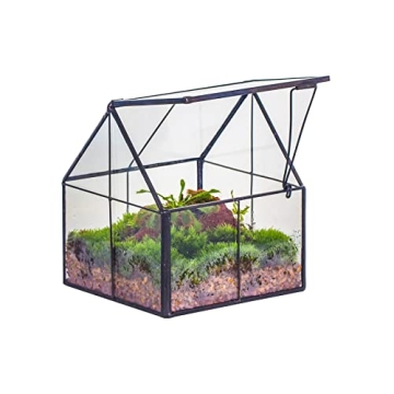 NCYP 4.25" x 4.25" x 4.92" Mini Glass Geometric Terrarium with Lid - Small House Shape Close Planter...