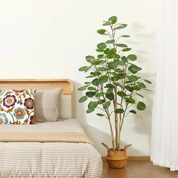 Kazeila Artificial Aralia Balfour Tree for Indoor Decor