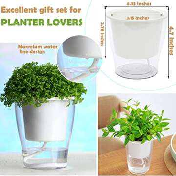 5-Pack Clear Self-Watering Pots for Easy Plant Care