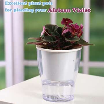 5-Pack Clear Self-Watering Pots for Easy Plant Care