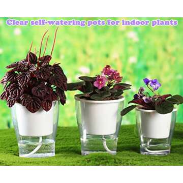 5-Pack Clear Self-Watering Pots for Easy Plant Care