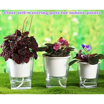 5-Pack Clear Self-Watering Pots for Easy Plant Care