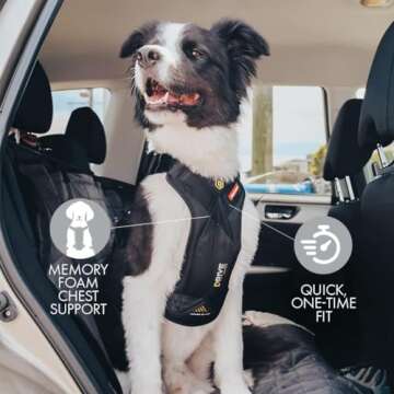 EzyDog Drive Safety Travel Dog Car Harness - Crash Tested US (FMVSS 213) - Premium Vehicle Restraint Vest for Protection and Comfort - Easy One Time Fit and Use with Car Seat Belt (Medium) Black