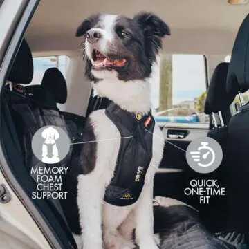 EzyDog Drive Safety Travel Dog Car Harness - Crash Tested US (FMVSS 213) - Premium Vehicle Restraint Vest for Protection and Comfort - Easy One Time Fit and Use with Car Seat Belt (Medium) Black