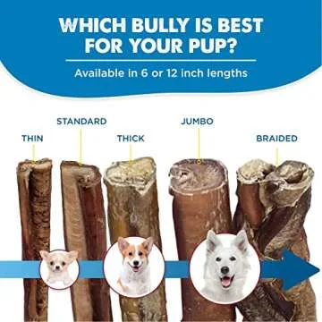 Best Bully Sticks Thick 12 Inch All Natural Chews for Dogs