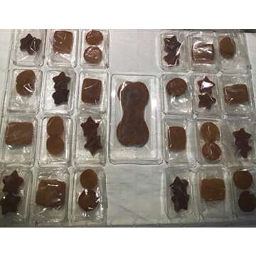 Trader Joe's Festive Advent Calendar for Dogs with Treats