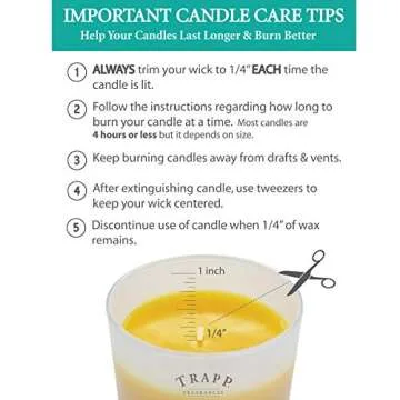 Trapp Orange Vanilla Candle - 7 Ounce for Home Decor