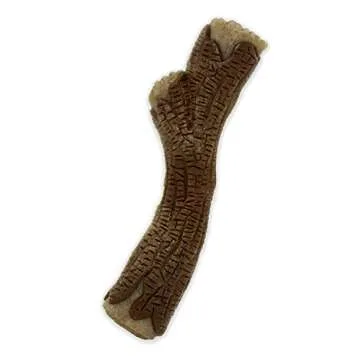 Nylabone Real Wood Stick Toy Strong Chew Toy for Dogs, Rubber Dog Toys for Moderate & Aggressive Che...