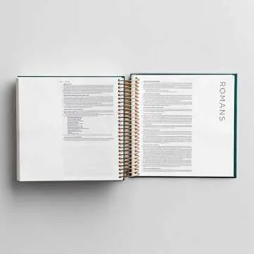 Stylish Illustrating Bible CSB - Perfect for Journaling and Reflection