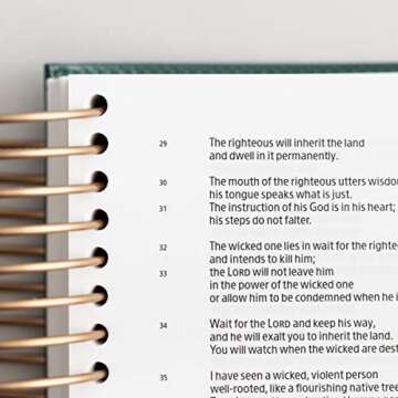 Illustrating Bible CSB - Spiral Bound Bible Journal, Green