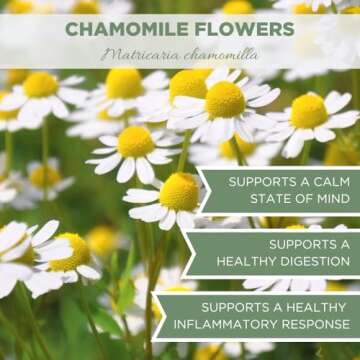 Elanen Naturals Organic Chamomile Flowers 4 oz. (113g), USDA Certified Organic Camomile Manzanilla Tea Loose Leaf, German Chomomile Golden Chamomeal Herb, Whole