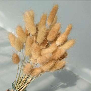 50-60 pcs Rabbit Tail Dried Flowers Home Decoration Lagurus Ovatus , Real Flower, Eternal Flower Dried Grass,Flower Bouquet, Dried Pampas Grass Flower Arrangements Wedding Home Decor （Natural）