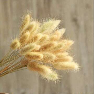 50-60 pcs Rabbit Tail Dried Flowers Home Decoration Lagurus Ovatus , Real Flower, Eternal Flower Dried Grass,Flower Bouquet, Dried Pampas Grass Flower Arrangements Wedding Home Decor （Natural）