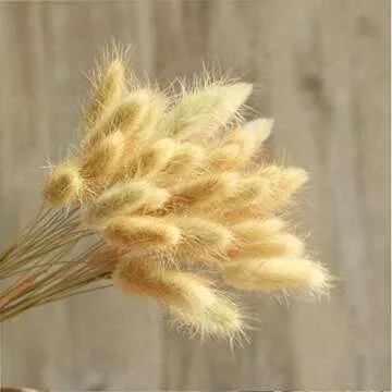 50-60 pcs Rabbit Tail Dried Flowers Home Decoration Lagurus Ovatus , Real Flower, Eternal Flower Dried Grass,Flower Bouquet, Dried Pampas Grass Flower Arrangements Wedding Home Decor （Natural）
