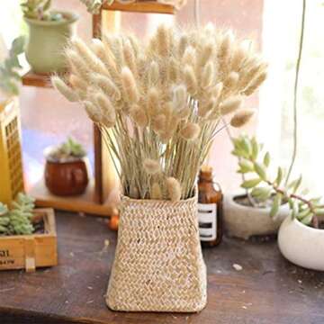 50-60 pcs Rabbit Tail Dried Flowers Home Decoration Lagurus Ovatus , Real Flower, Eternal Flower Dried Grass,Flower Bouquet, Dried Pampas Grass Flower Arrangements Wedding Home Decor （Natural）