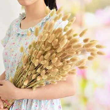 50-60 pcs Rabbit Tail Dried Flowers Home Decoration Lagurus Ovatus , Real Flower, Eternal Flower Dried Grass,Flower Bouquet, Dried Pampas Grass Flower Arrangements Wedding Home Decor （Natural）