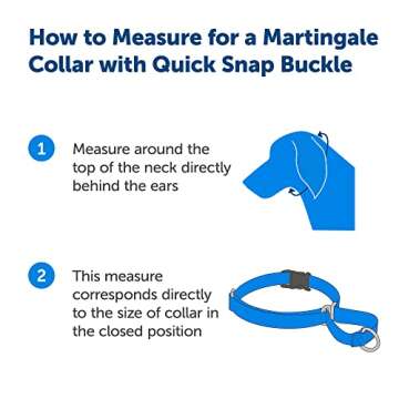 PetSafe Martingale Dog Collar - Quick-Snap Security & Comfort