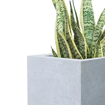 Kante Stylish Concrete Planters Set of 3 - Drainage Included
