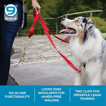 Blue-9 Multi-Function Hands Free Dog Leash, Double Attachment 6 Foot Adjustable Lead for Obedience, Running, and Agility Training (Black, Medium Large)