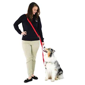 Blue-9 Multi-Function Hands Free Dog Leash, Double Attachment 6 Foot Adjustable Lead for Obedience, Running, and Agility Training (Black, Medium Large)