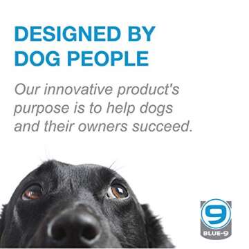 Blue-9 Multi-Function Hands Free Dog Leash, Double Attachment 6 Foot Adjustable Lead for Obedience, Running, and Agility Training (Black, Medium Large)