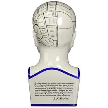 Design Toscano SP020 Full Size Phrenology Head Bust Fortune Telling Statue, 12 Inch, Porcelain, White