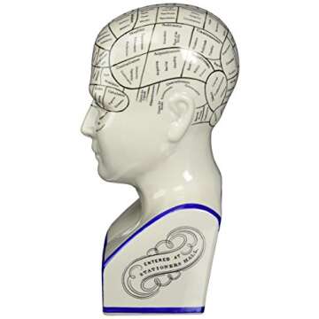 Design Toscano SP020 Full Size Phrenology Head Bust Fortune Telling Statue, 12 Inch, Porcelain, White
