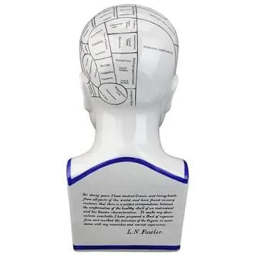 Design Toscano SP020 Full Size Phrenology Head Bust Fortune Telling Statue, 12 Inch, Porcelain, White
