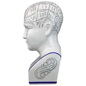 Design Toscano SP020 Full Size Phrenology Head Bust Fortune Telling Statue, 12 Inch, Porcelain, White