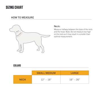 Carhartt Fully Adjustable Nylon Webbing Collars for Dogs, Reflective Stitching for Visibility, Carhartt Brown (Nylon Webbing), Large