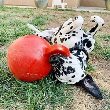 Durable Jolly Pets Tug-N-Toss Dog Toy Ball, 10" for Giant Breeds