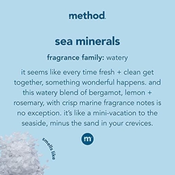 Method Foaming Hand Soap Sea Minerals Biodegradable Eco Friendly