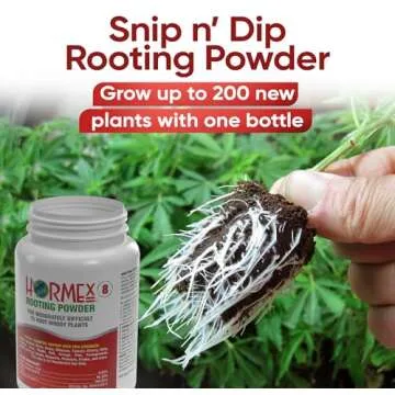 Hormex Rooting Powder #8 for Fast and Strong Roots