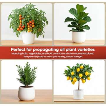 Hormex Rooting Powder #8 - Rapid Root Starter for Moderately Woody Plant Cuttings | Stronger Roots for Thriving Plants (IBA)