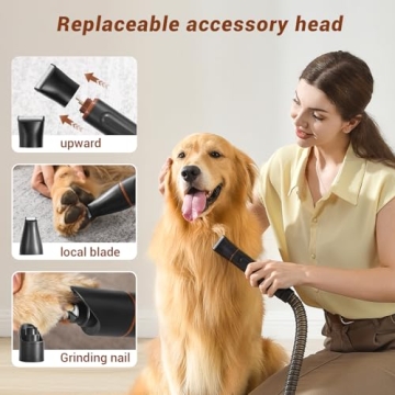 Bunfly Dog Hair Vacuum with Powerful Suction and Tools