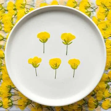 Cayway 80 PCS Natural Dried Pressed Flowers for Crafts