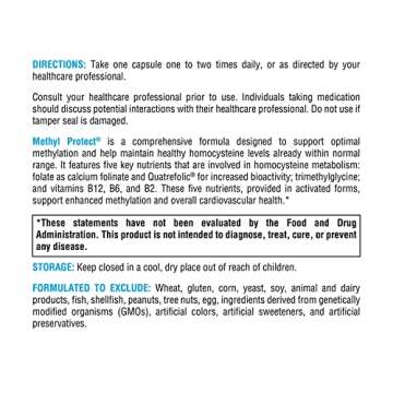 XYMOGEN Methyl Protect - Optimal Methylation Formula with Methyl Folate, Vitamin B12 (Methylcobalamin b12), Riboflavin + B6 Vitamins - Cognitive, Homocysteine + Heart Health Supplements (120 Capsules)