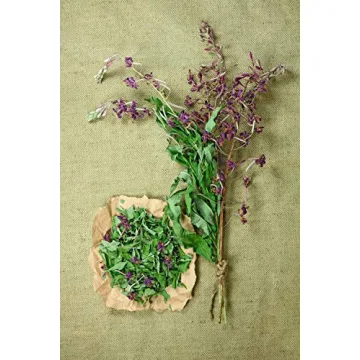 Fireweeds Herb 100g - Natural Herbal Remedy by Health Embassy