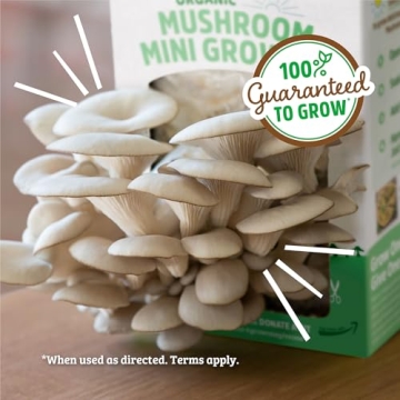 Back to the Roots Mushroom Grow Kit - Fresh Gourmet Mushrooms