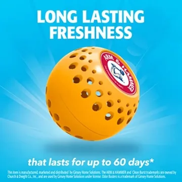 Arm & Hammer Odor Busterz Balls - 6 Pack Freshness