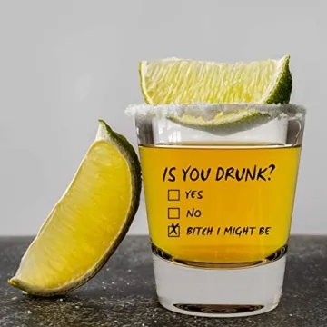 LitGifts Funny Shot Glass - Perfect Gift for All Occasions