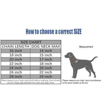 SGODA Chain Dog Training Choke Collar, 22 in, 3 mm