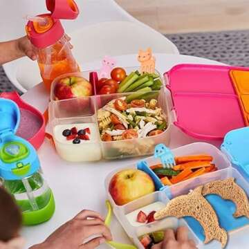 Sandwich Cutters for Kids - Fun Shapes for Lunch