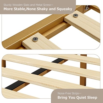 Elegant Queen Size Platform Bed Frame - No Box Spring Needed